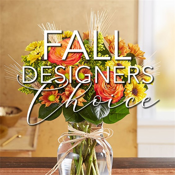 Fall-Designers-Choice-2024